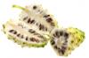 fotolia_16843894_xs_noni.jpg