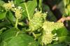 fotolia_17307429_xs_noni.jpg